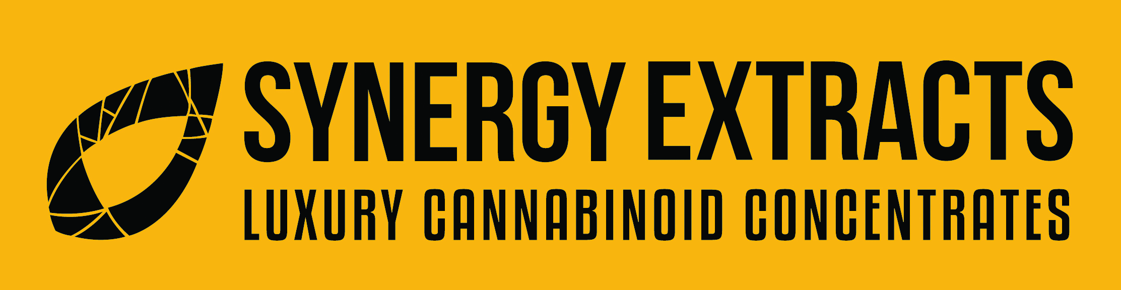 Synergy Extracts