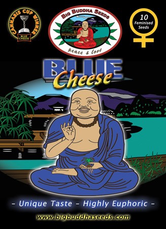 BIG BUDDHA SEEDS - BLUE CHEESE - 5 Feminised