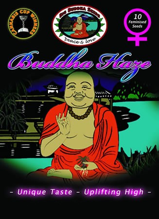 BIG BUDDHA SEEDS - BUDDHA HAZE - 10 Feminised