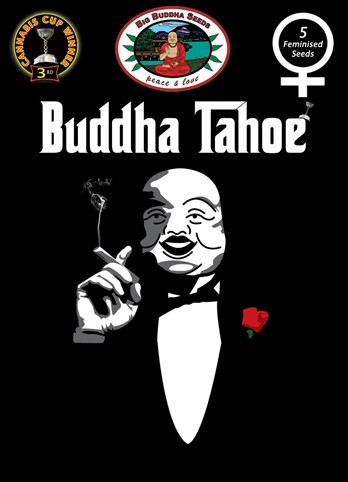 BIG BUDDHA SEEDS - BUDDHA TAHOE - 10 Feminised