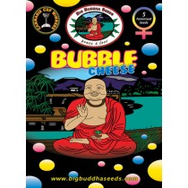 BIG BUDDHA SEEDS - BUBBLE CHEESE - 10 Feminised