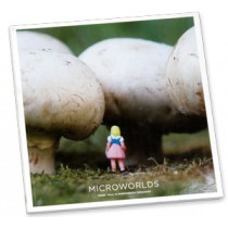 MICROWORLDS BOOK